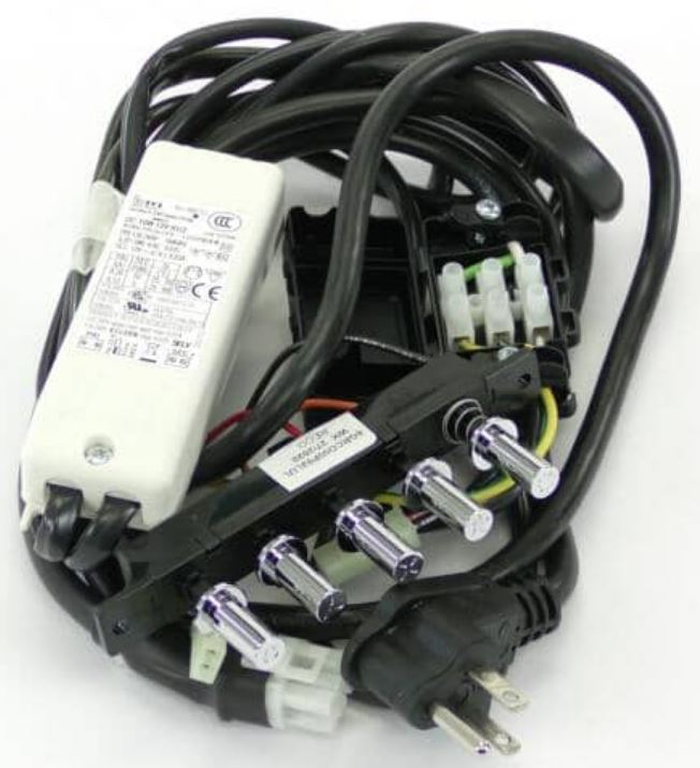 Bertazzoni Z200349 Wiring Assymbly