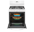 Gas Range FFGF3054TW Sealed Burner 30in -Frigidaire