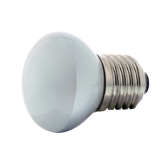 Zephyr Z0B0018 Incandescent Bulb
