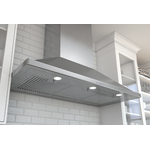 Zephyr ZSPE42AS Wall Mount Hood Replacement Parts