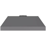 Vent-A-Hood BH234PSLDGS 34 Inch Cabinet Insert Hood 600 CFM
