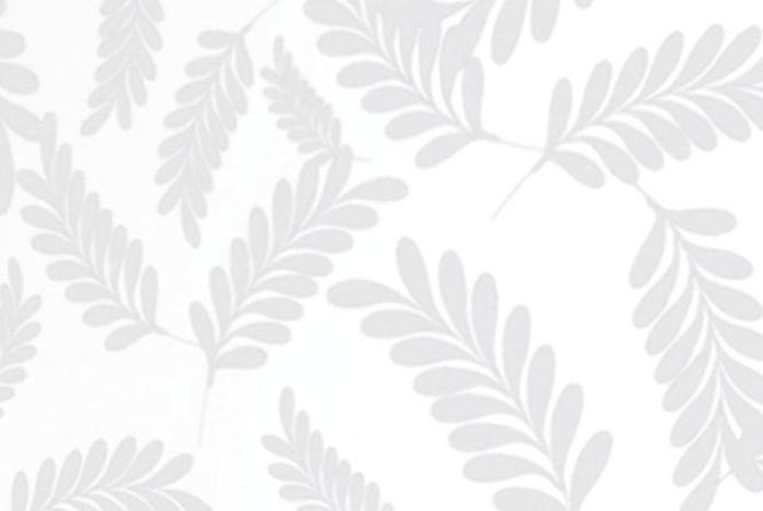 Zephyr AHZM90AWX Wall Mount Hood Replacement Parts